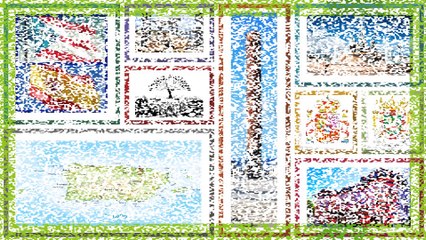 Programa Adelante XIII