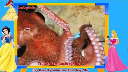 Hướng dẫn Vẽ Con Voi - Cách Vẽ Con Vật - Vẽ Tranh Thiếu Nhi - Lamdepchobe TV