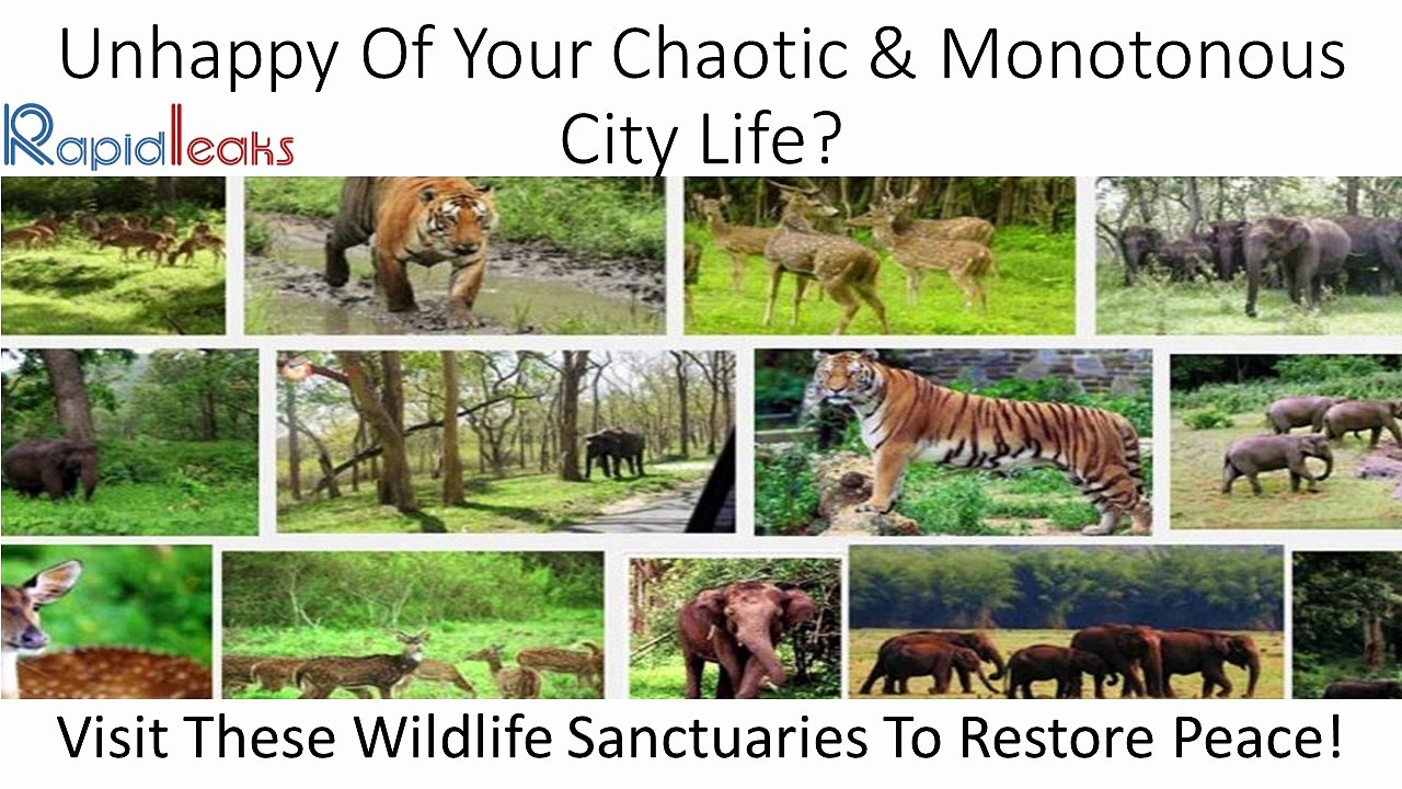 Wildlife Sanctuaries In India - RapidLeaks