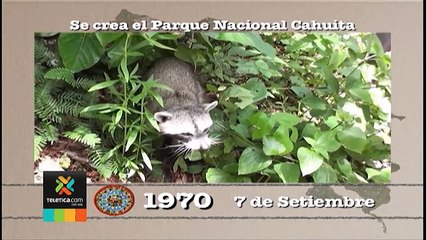 tn7-hoy-070917