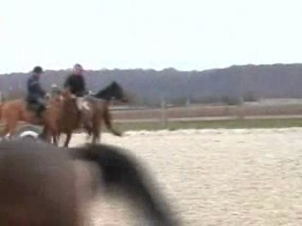 Purple verticaux entrainement