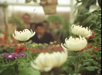 犬神家の一族 2話 横溝 正史 Yokomizo Seishi