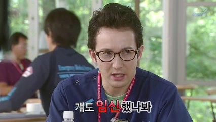 코블 예능 자막 플러스