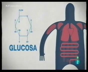 Refrescos azucarados: Obesidad y diabetes tipo II (Higado graso)
