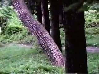 인터넷바카라인터넷＼＼【 ＬＯＵ８２。ＣＯＭ 】＼＼대전티파니