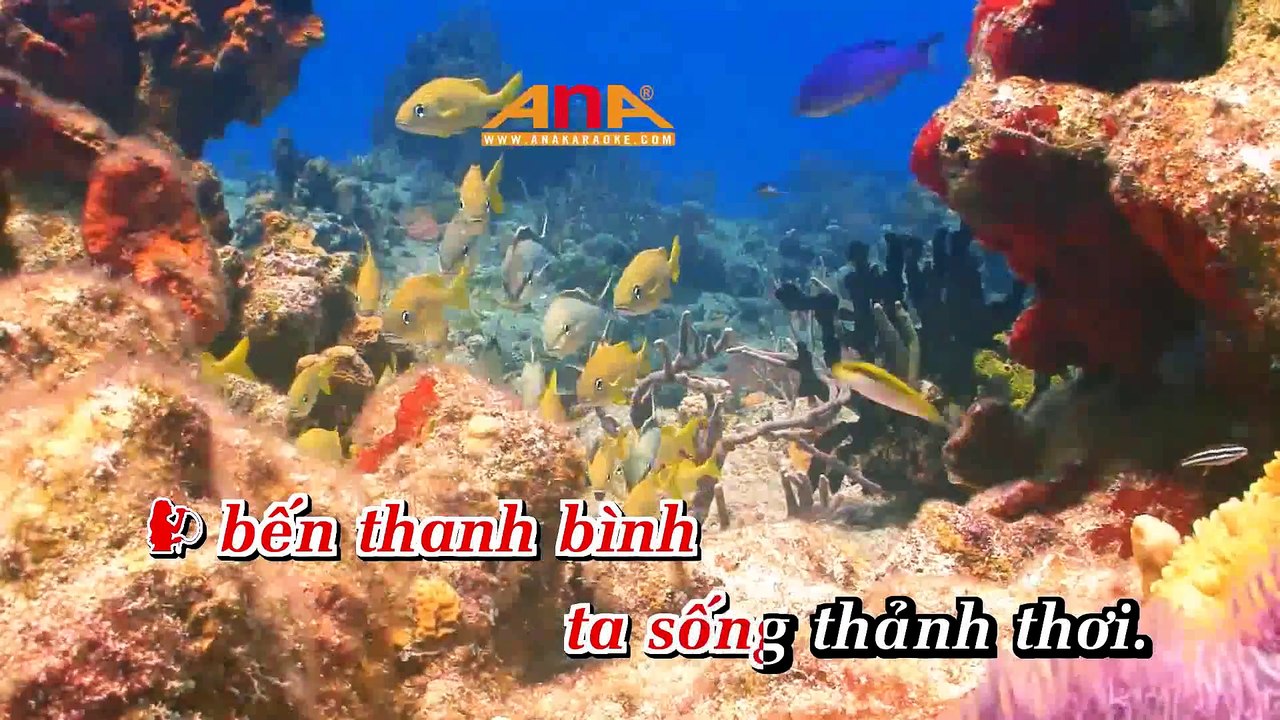 KARAOKE THUYỀN HOA CHA CHA CHA