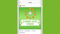 U4HK ME - Blooming Veggie Flowers