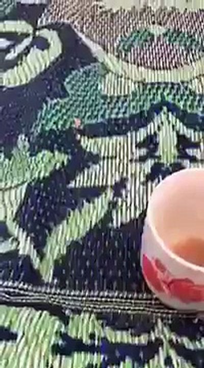 ماچس کی ڈبی پر زبردست میوزک بجا کرکیا خوب گانا...