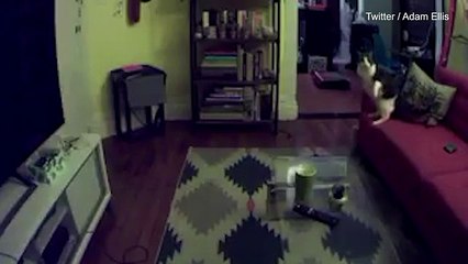 Adam Ellis shares video of the ghost in his apartment