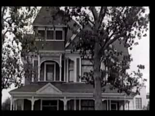 Eg daily - Say it say it