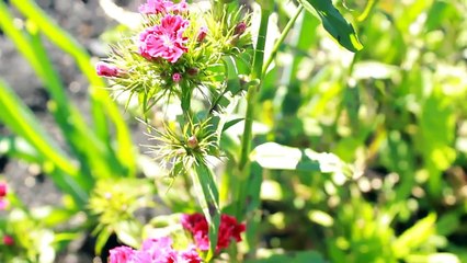 Июль. Потоп века. Полный затоп под ж/д мостом.