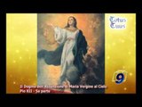 TOTUS TUUS | Il Dogma dell'Assunzione di Maria Vergine al Cielo. Pio XI (quinta parte)