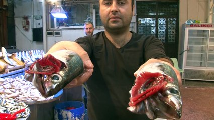 Sezon açıldı hamsi 15 liraya düştü