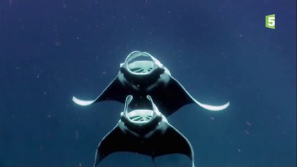 Nature fragile - Les déserts