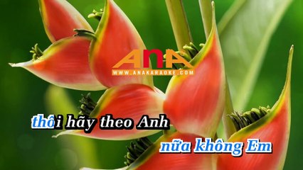 KARAOKE VÓ NGỰA TRÊN ĐỒI CỎ NON