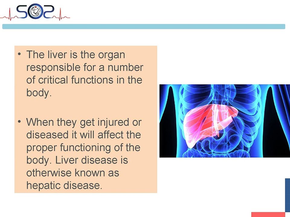 House Call Doctors 24/7 - SOS Doctor House Call