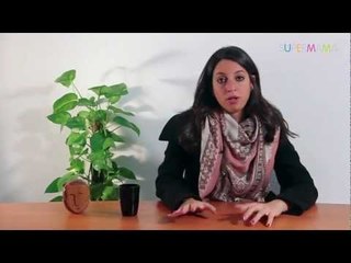 ما هو التمثيل الغذائي للجسم؟