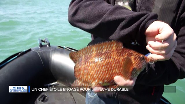 Modes d'emplois - filière pêche