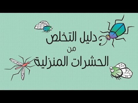 دليل التخلص من الحشرات المنزلية | التخلص من الصراصير و النمل والناموس والهاموش