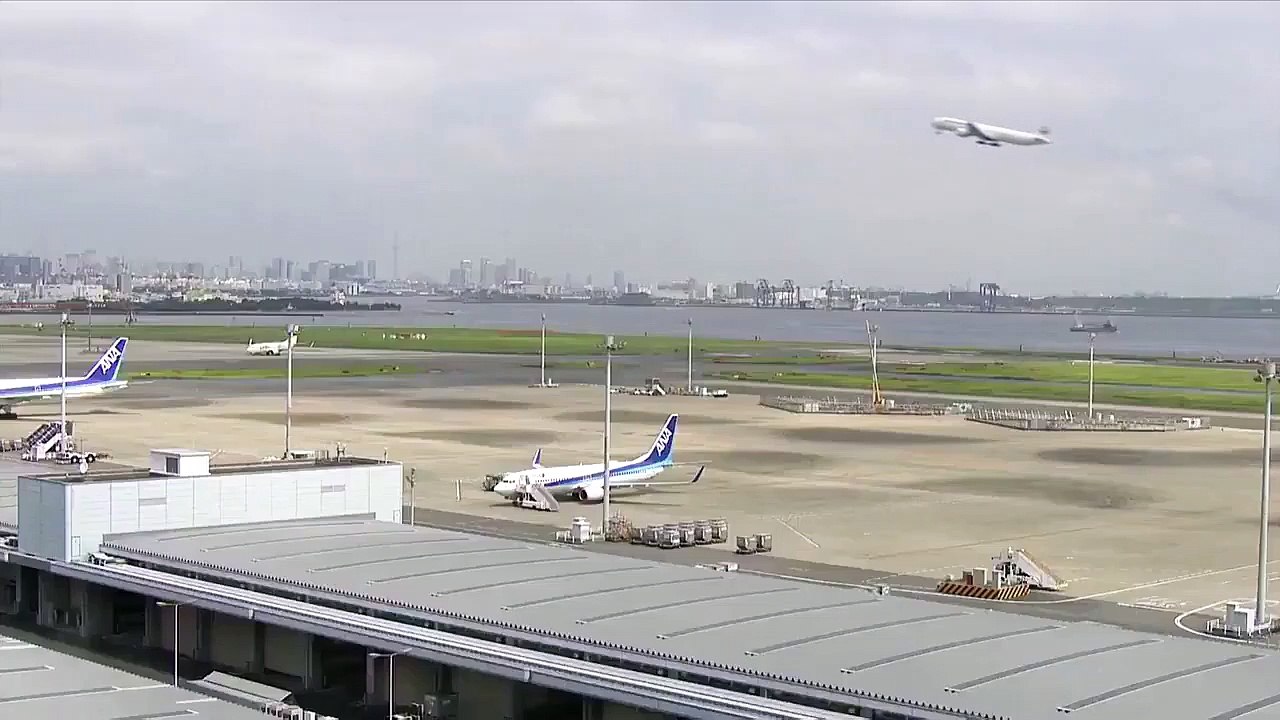 Un oiseau percute un avion au décollage et provoque des flammes dans l'avion
