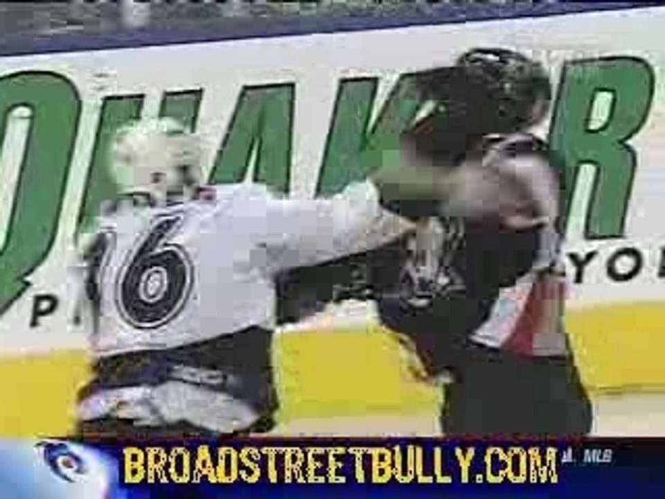 NHL  top5 hockey stars fights