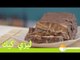 طريقة عمل ليزي كيك | Easy Chocolate Lazy Cake Recipe