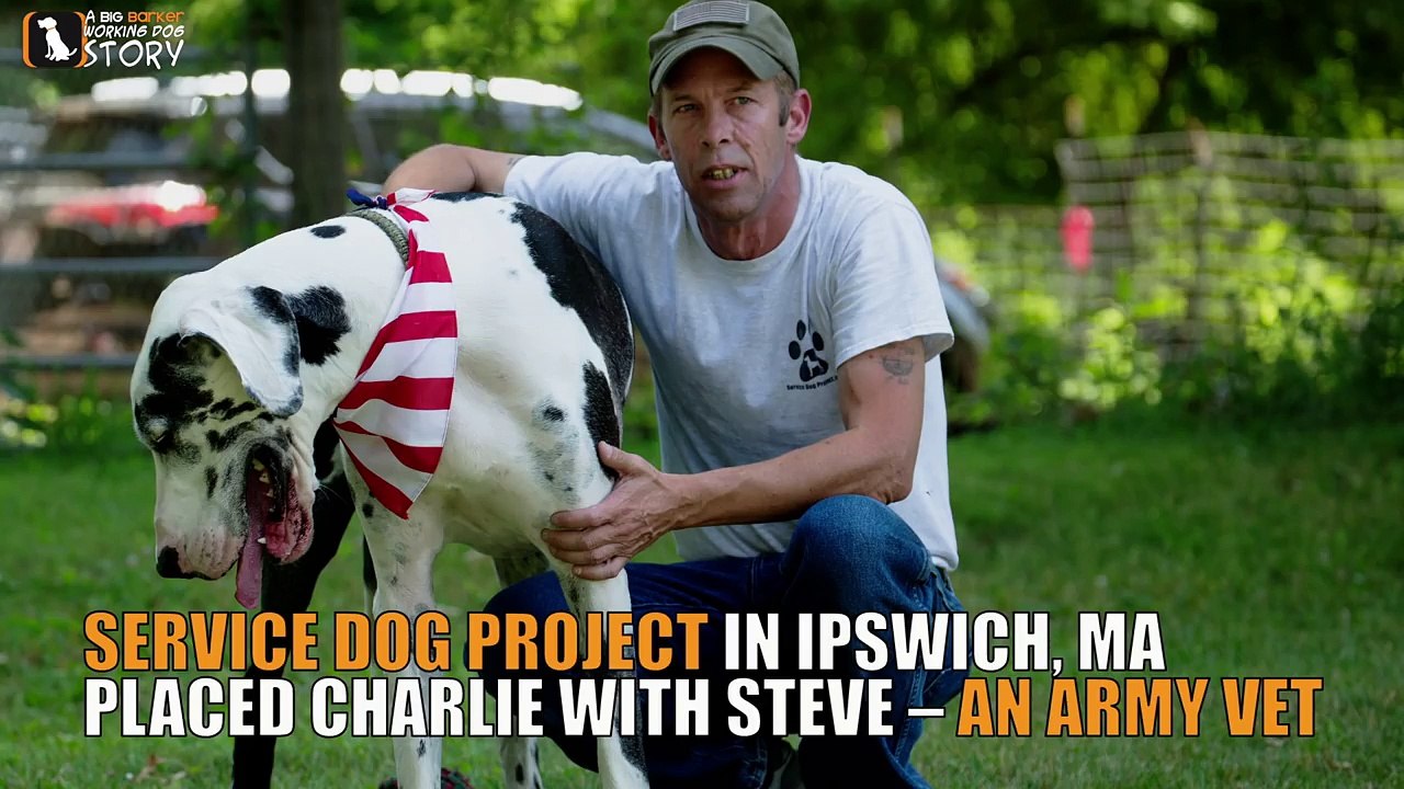 Steve & Charlie The Great Dane