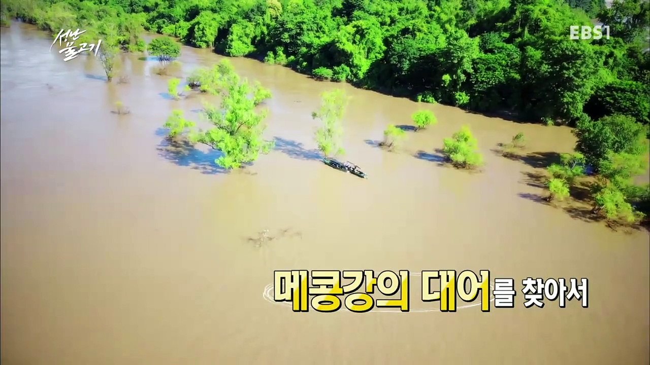 성난 물고기 - 메콩강의 대어를 찾아서_#001