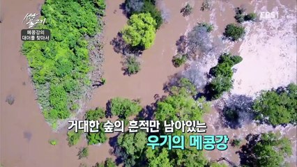 성난 물고기 - 메콩강의 대어를 찾아서_#003