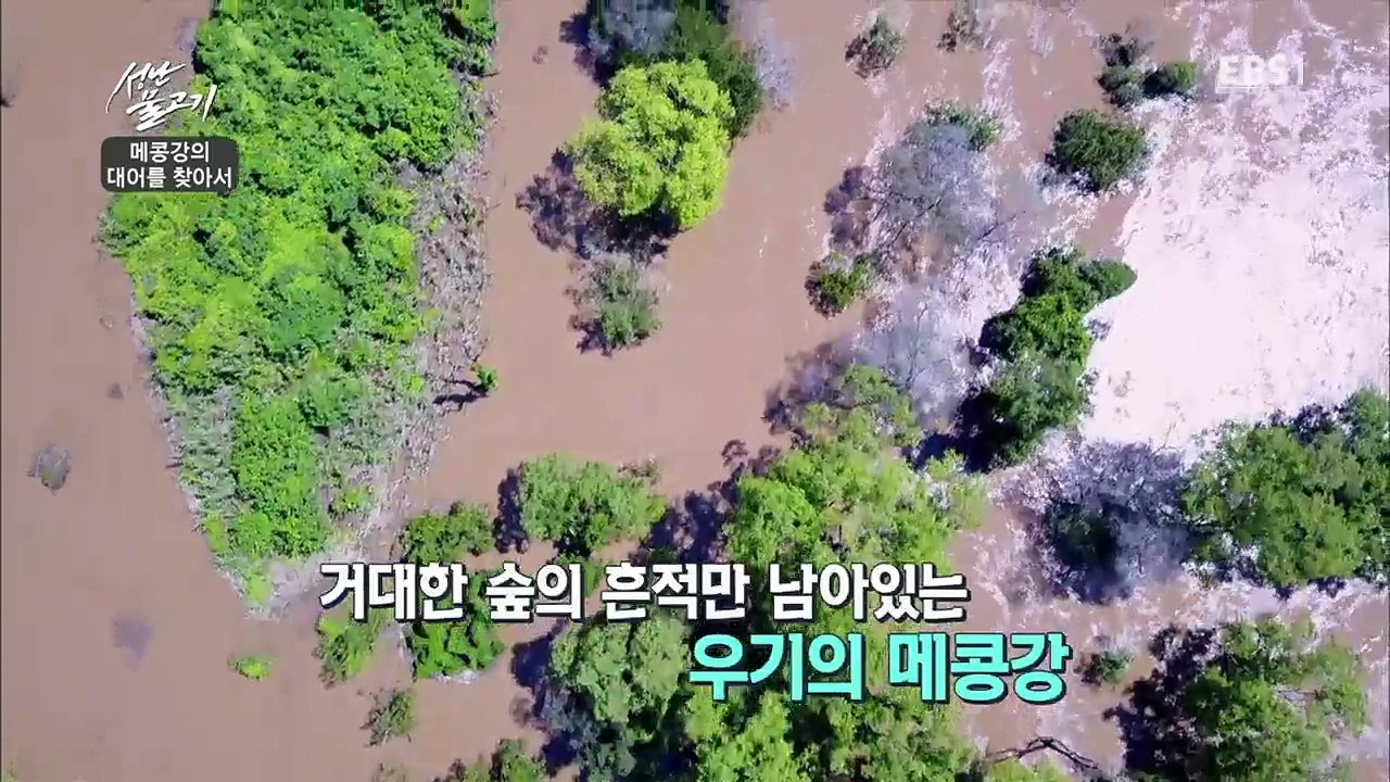 성난 물고기 - 메콩강의 대어를 찾아서_#003