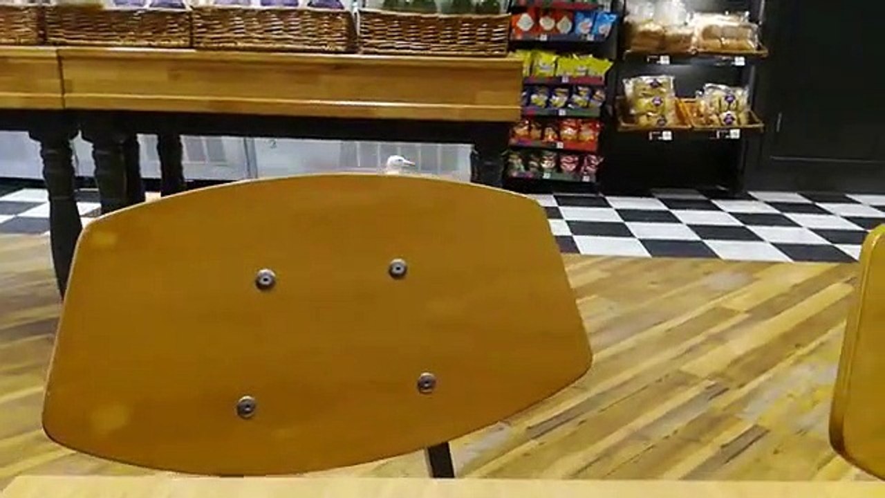 Un oiseau passe tranquillement dans un magasin pour voler un paquet de chips