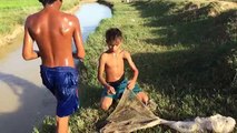 Two Boys Catch Water Snake With Hand - Catch Fish And Frog Using Bamboo Net Trap