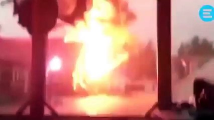 La furia de la naturaleza: un árbol reducido a astillas tras el impacto de un rayo