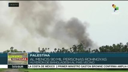 Asociación de Eruditos de Palestina condena persecución de rohingyas