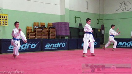 emKARATE - Smeđi pojas kyu1 Vitez 2016