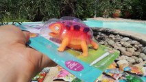 ON GONFLE DES ANTI-STRESS BALLONS ANIMAUX DANS LA PISCINE !