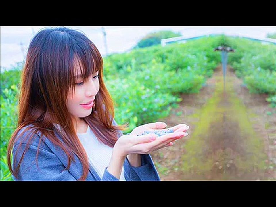 文慧如《Something Just Like This X 剛好遇見你》【LYRIC 歌詞】