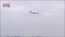 Japon : un avion atterri en urgence après avoir percuté un oiseau (Vidéo)