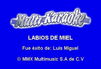 Luis Miguel - Labios De Miel (Karaoke)