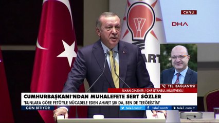 Zerrin Güngör nasıl Danıştay Başkanı oldu?