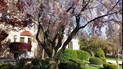 HTC 10- HTC 10 Unboxing & Review 📱 - thumbnail