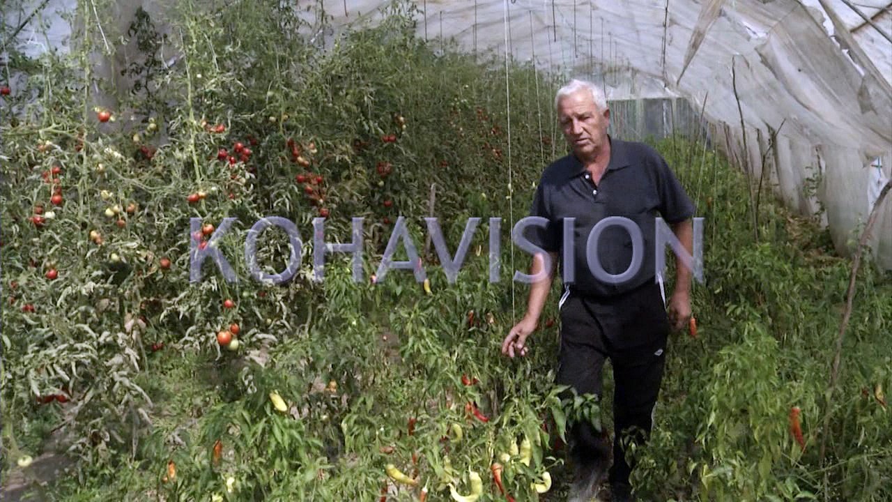 Fermerët shprehen kundër marrëveshjes që i jep Listës Serbe drejtimin e dikasterit të bujqësisë