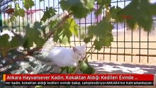 Nurhanteyzeninkedileri
