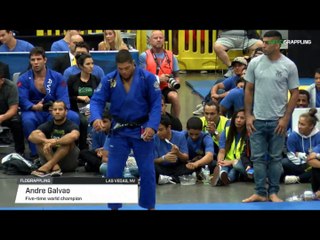Andre Galvao vs Leandro Lo IBJFF Grand Prix Heavyweight