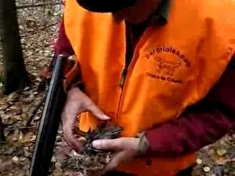 Chasse à la bécasse #36