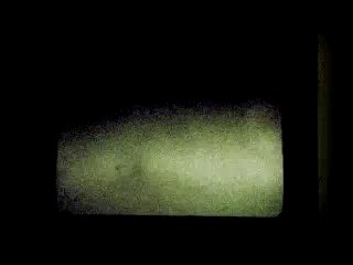 Dionysos - Monsters In Love Teaser 02