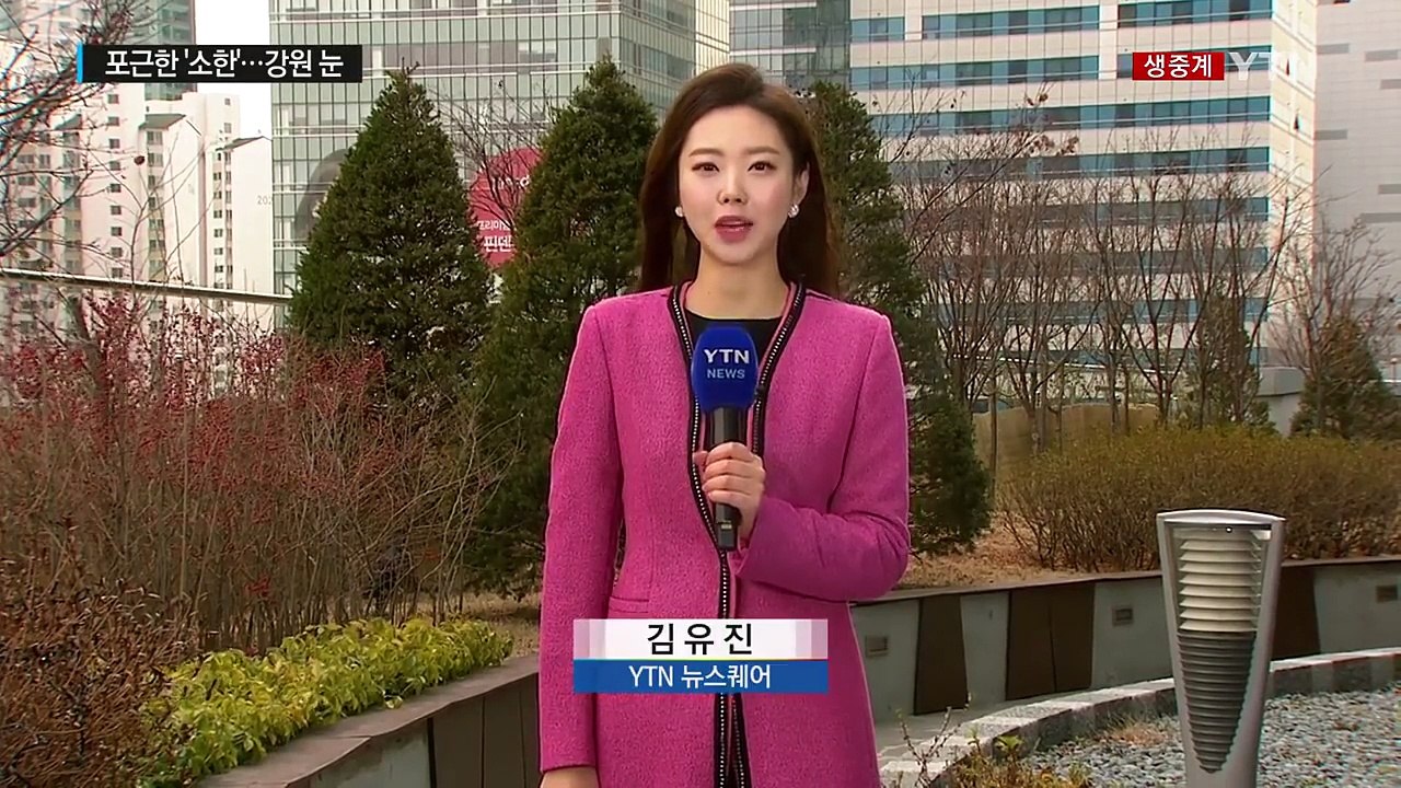 [날씨] '소한' 추위 없어...강원 산간 최고 8cm 눈 / YTN (Yes! Top News)