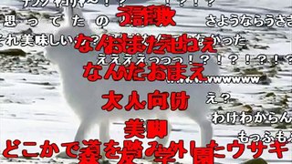 【ニコ動コメ付き】ホッキョクウサギが立ち上がった時のコレジャナイ感UC