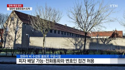 정유라 인권 문제 변수...덴마크 법원 "한국기자들 처벌" / YTN (Yes! Top News)