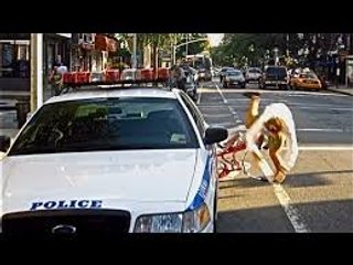 Bike-Lanes-by-Casey-Neistat